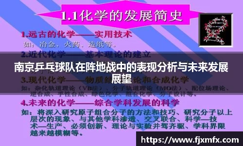 南京乒乓球队在阵地战中的表现分析与未来发展展望