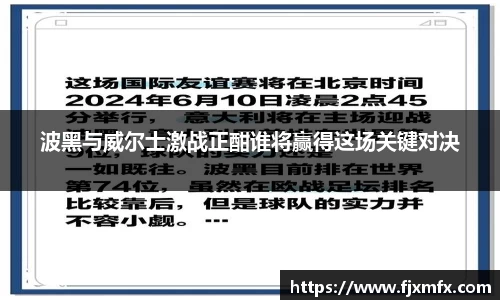 波黑与威尔士激战正酣谁将赢得这场关键对决